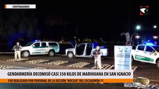 Gendarmería decomisó casi 350 kilos de marihuana en San Ignacio