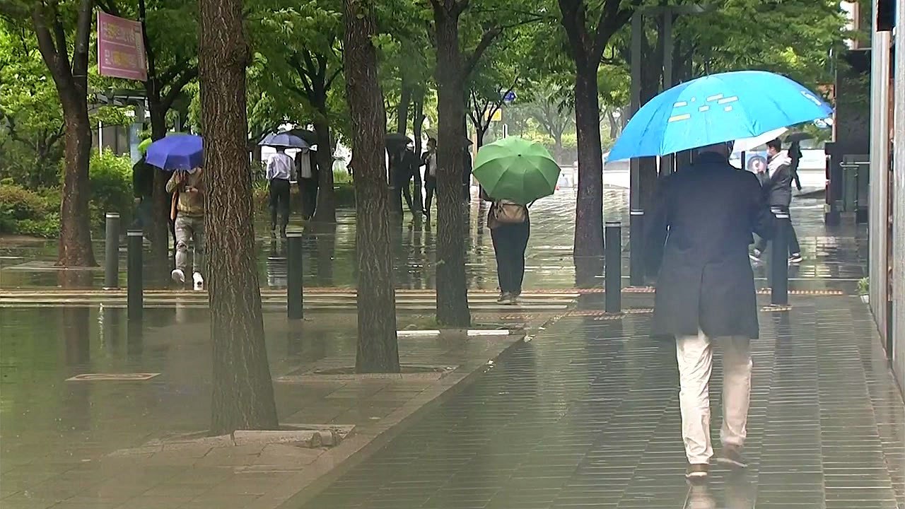 [날씨] 오늘 전국 곳곳 비...낮 동안 서늘, 서울 16℃ / YTN