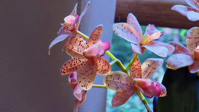 Aged care sector hopes for funding to bolster workforce