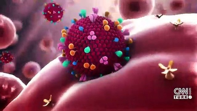DSÖ uzmanı Hindistan mutasyonuna karşı uyardı
