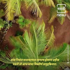 Travel Diary: Take A Round Of Aachra Beach; One Of The Cleanest Beaches  In Konkan