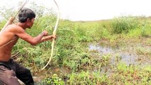 Make Bow Using Bamboo Find Food By Primitive Technology