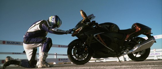 Suzuki Hayabusa vs Peregrine Falcon