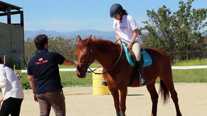 Terapia com cavalos cada vez mais procurada em Espanha
