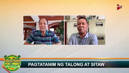 "PAGTATANIM NG TALONG AT SITAW" Mag-Agri Na Tayo! Ep-12