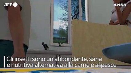L'Ue dà l'ok al primo insetto come alimento: è la tarma della farina