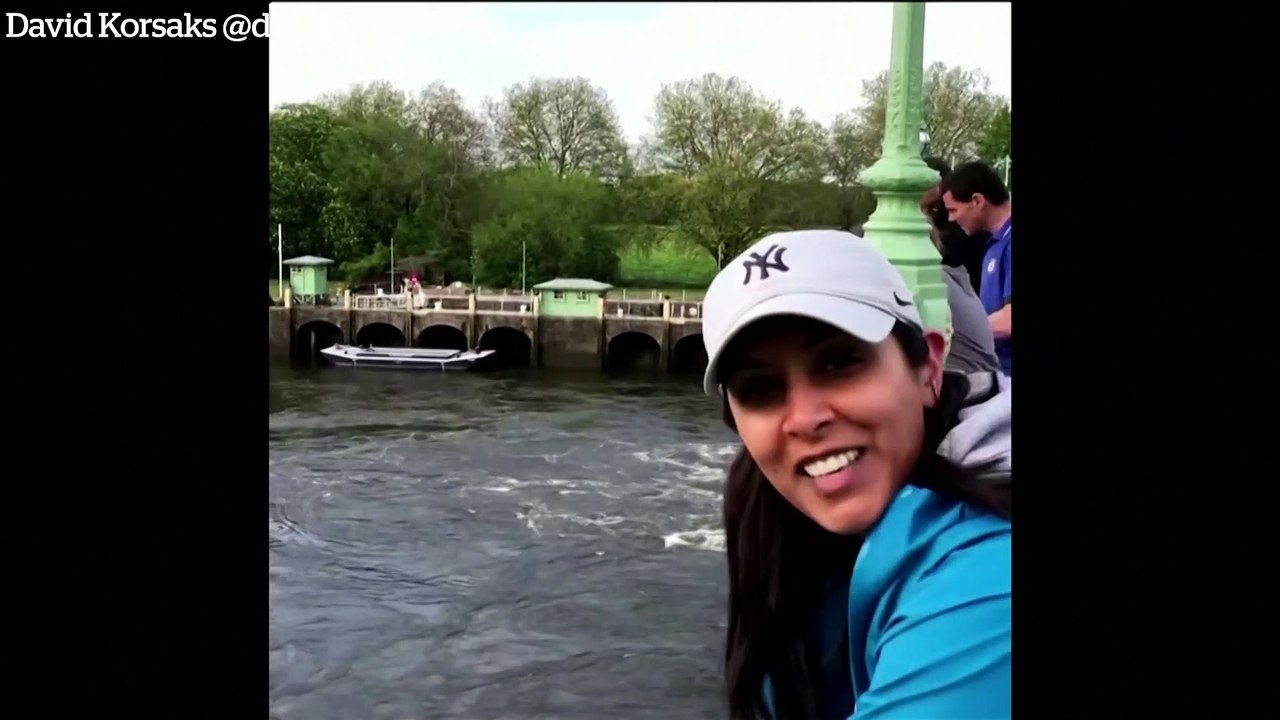 Minke Whale becomes stuck in Richmond Lock on River Thames