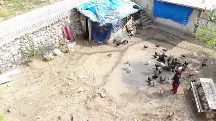 KAHRAMANMARAŞ - Girişimci kadın bileziklerini satarak aldığı kuluçka makinesinden aylık 4 bin civciv çıkartıyor
