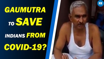 Drink Cow Urine To Stop Coronavirus Spread: BJP MLA