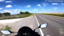 Motorcycle Rider Assists Turtle Across Busy Road