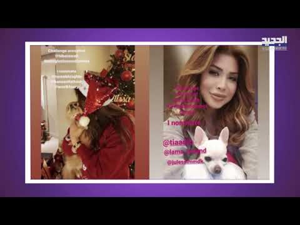 خلاف نوال الزغبي و إليسا يعود إلى الواجهة من جديد ولكن هذه المرة لن تصدقوا ماذا حصل!