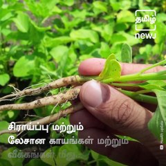 Medicinal Benefits Of Ashwagandha