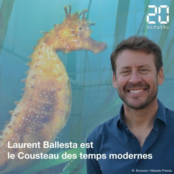 Montpellier: Laurent Ballesta, le Cousteau des temps modernes