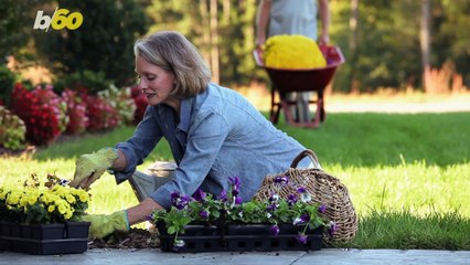 Home Improvement Projects Make People Tired