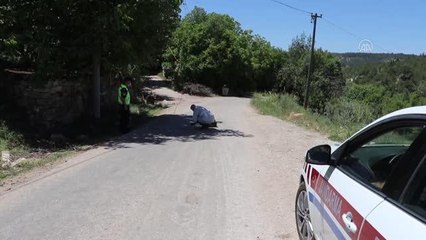 Son dakika haberleri... Yolda yaralı bulunan 85 yaşındaki kadın hayatını kaybetti