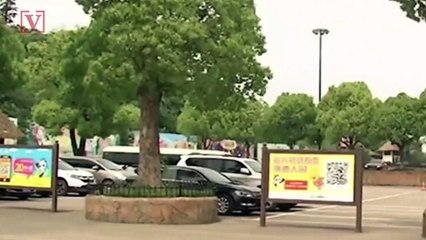 One of Three Leopards Still at Large in Residential Area After Escaping Zoo