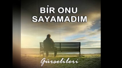 Gürsel İleri - Bir Onu Sayamadım