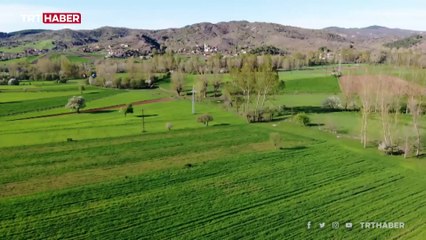 Buğdayın atası Siyez’e iki yeni tescil