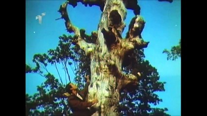 Gracka - pjesa 2HD