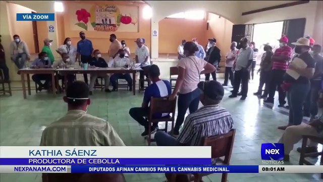 Entrevista a Kathia Sáenz, sobre el acuerdo entre productores de cebolla y el gobierno - Nex Noticias