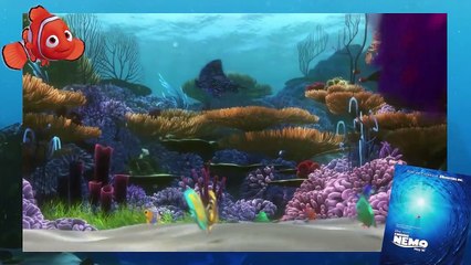 How To Do The Middle Splits