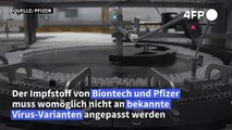 Biontech-Impfstoff muss wohl nicht an Mutanten angepasst werden