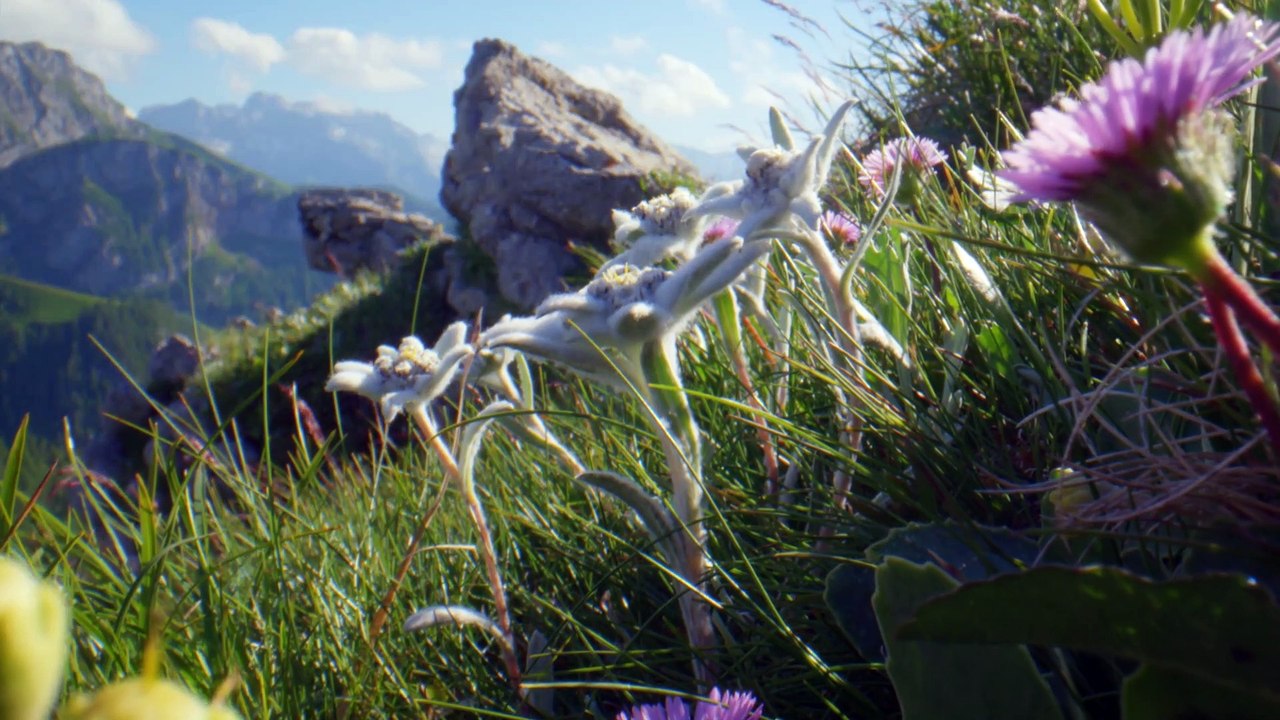 Heimat Natur - Trailer 2 (Deutsch) HD