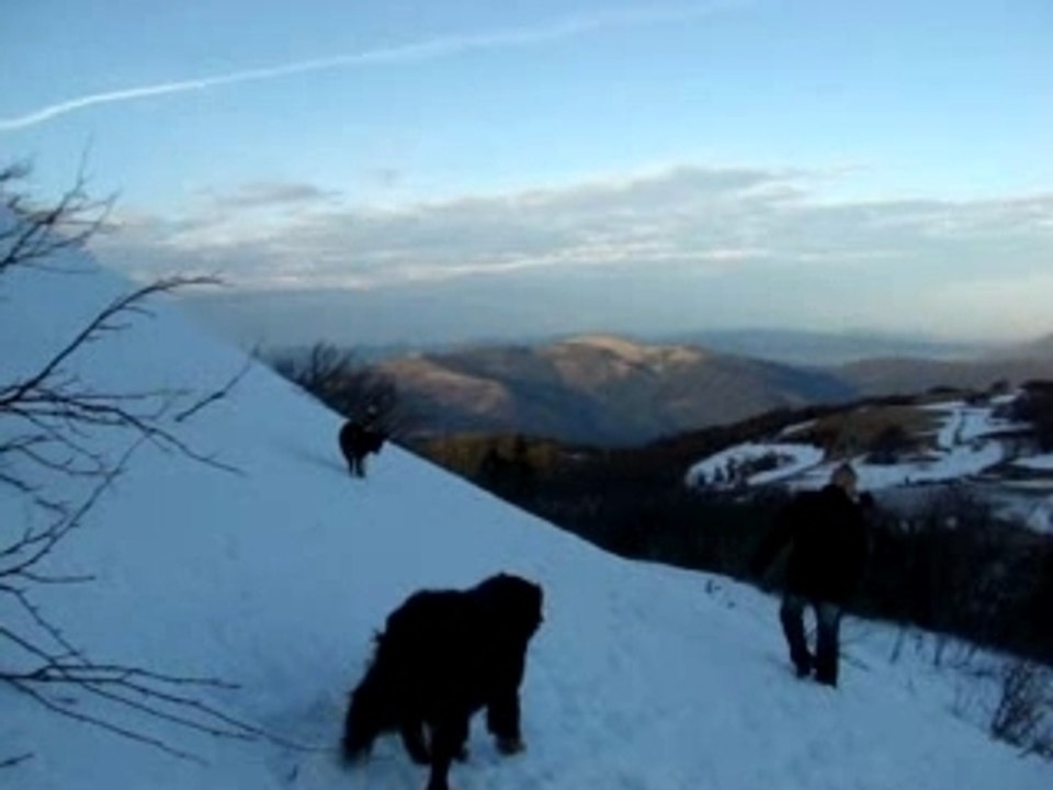 En montagne ac cheyenne et mobeetie 099