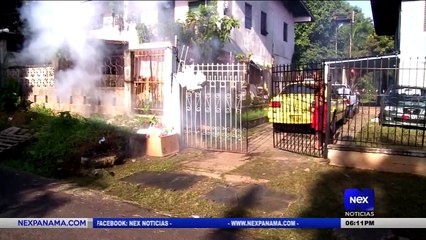 Confirman 10 casos de dengue en el área Metropolitana  - Nex Noticias