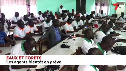 Eaux et Forets : les agents bientôt en grève