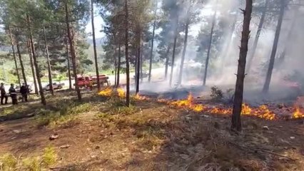 Kent Ormanı'nda çıkan örtü yangını söndürüldü