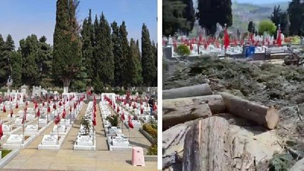 Son dakika haberleri: ŞEHİTLİKTEKİ SELVİ AĞAÇLARININ KESİLMESİNE TEPKİ