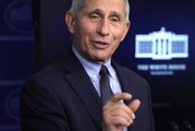 Fauci Indicates Mask-Wearing Could Become Seasonal After Pandemic