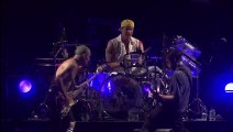 Under the Bridge - Red Hot Chilli Peppers (live)