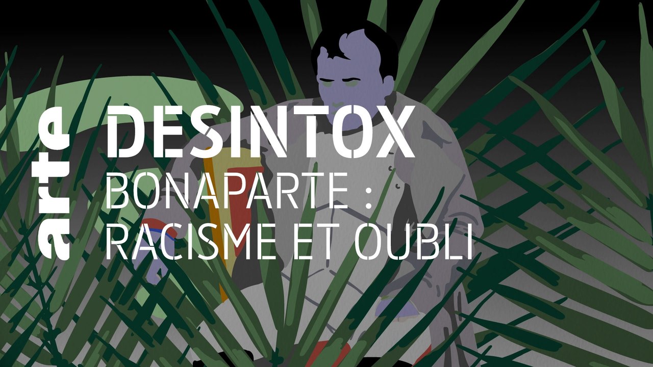 Bonaparte, racisme et oubli | 10/05/2021 | Désintox | ARTE