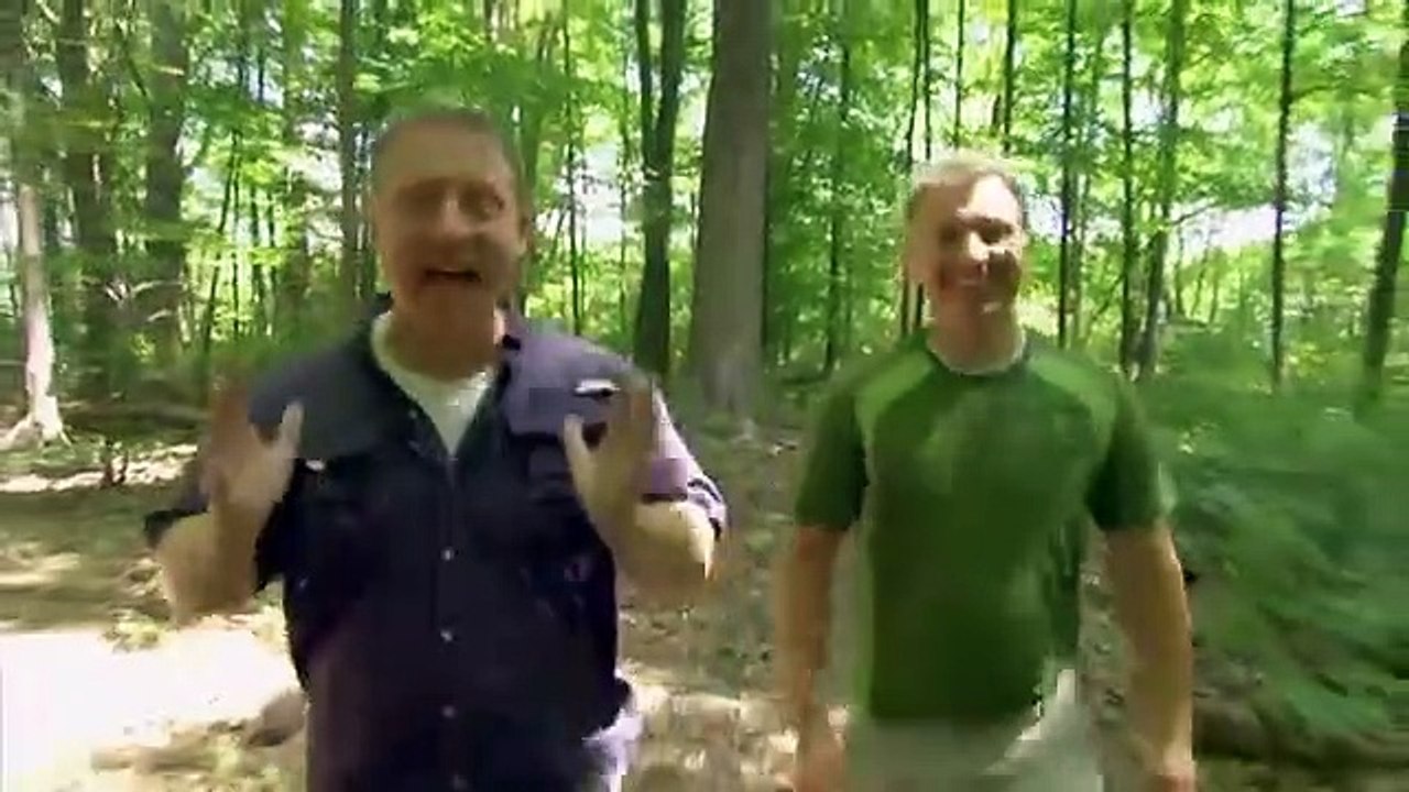 Wild Kratts - Fire Salamander - video Dailymotion