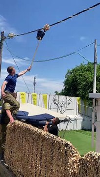 Cute Kittens Rescued from Power Line
