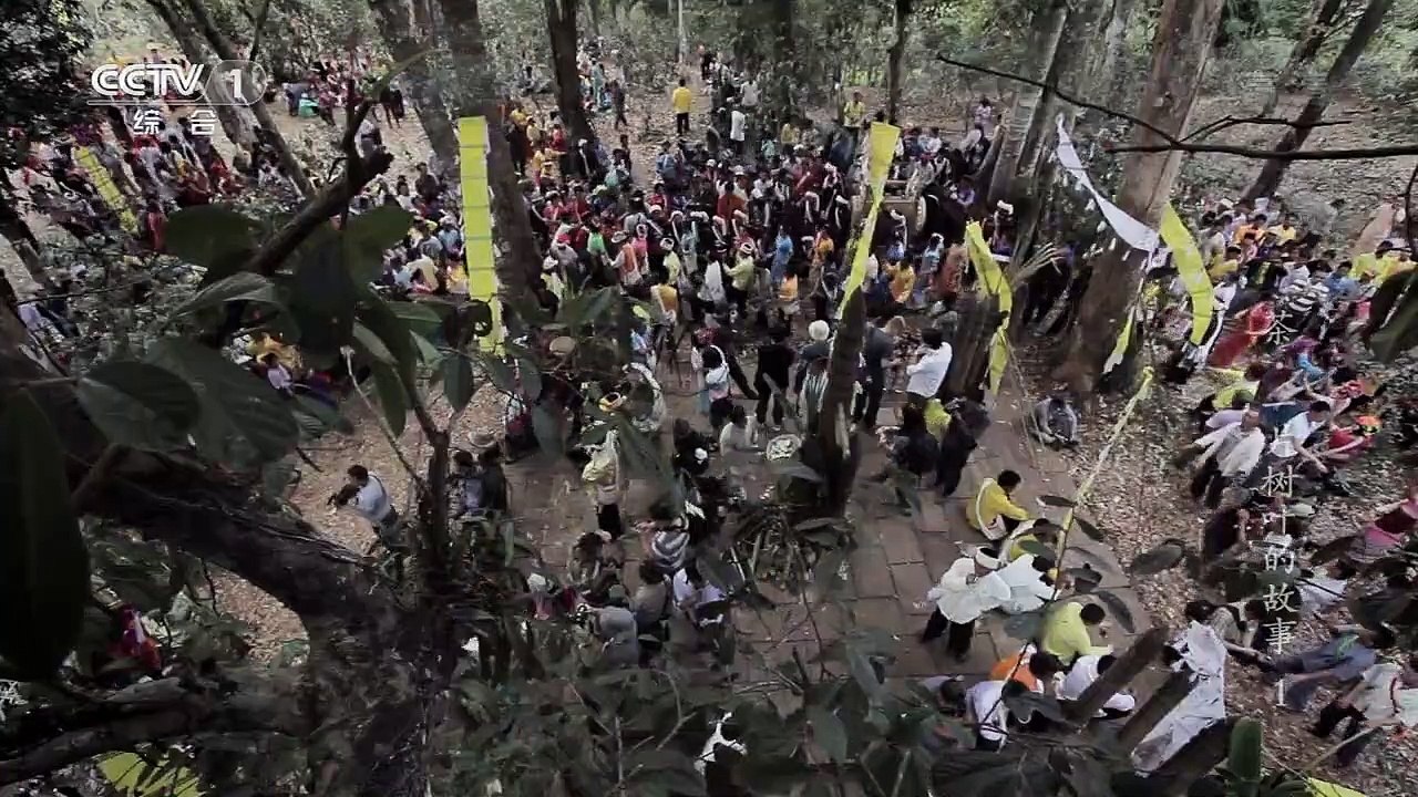 土地和手掌的温度 (茶)