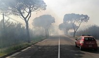 Elmas (CA) - Vasto incendio di vegetazione alimentato dal forte vento (10.05.21)