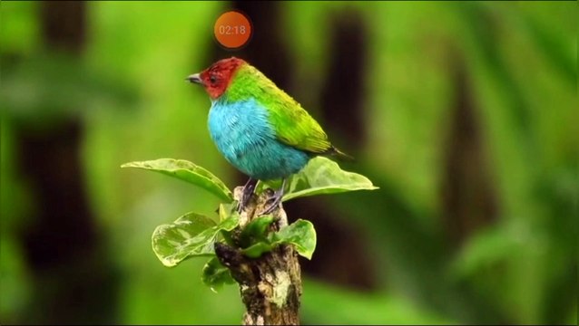 تلاوة مجموعة أحاديث صاحب الخلق الرفيع صلى الله عليه وسلم