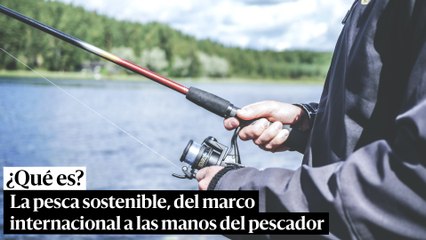 La pesca sostenible, del marco internacional a las manos del pescador