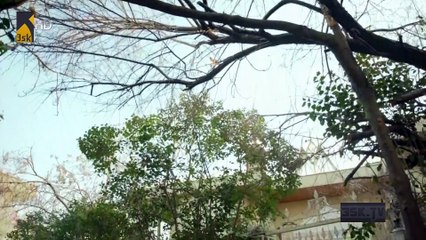 كاراداي الموسم 2 الحلقة 21