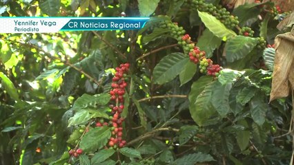 Costa Rica Noticias Regional - Jueves 13 Mayo 2021