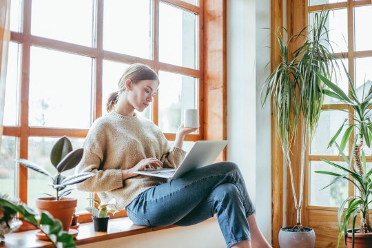 8 Sizeable Houseplants for Every Corner of Your Home