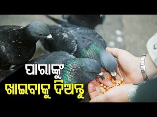 Bhagya Rekha - Know Your Horoscope For Today 22 April 2021 | OTV