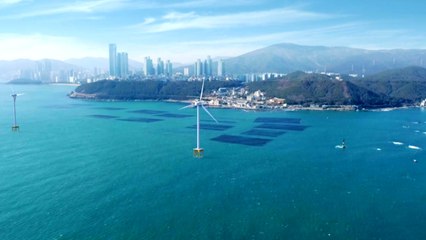 친환경? vs 환경 파괴?...해운대 해상 풍력발전 논란 / YTN