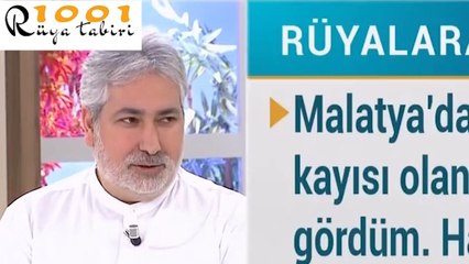 Rüyada Kayısı görmek | Rüyada Kayısı Yemek, Toplamak, Kayısı Ağacı, kuru kayısı diyanet