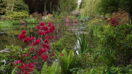 '수련' 속으로...모네의 지베르니 정원 재개장 / YTN