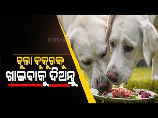 Bhagya Rekha - Know Your Horoscope For Today 24 April 2021 | OTV