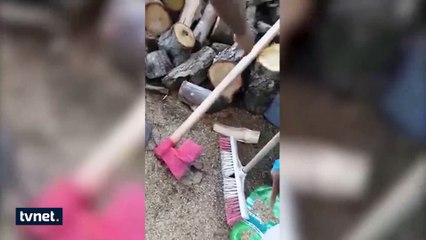 Karadenizli vatandaş yaptığı baltayla dünyaya meydan okudu! İşte o anlar...